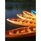 Location paddle canoe et kayak sur la Charente entre Saintes La Rochelle et Rochefort