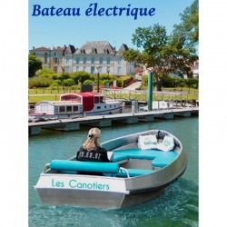 L'Antenne bateau électrique - 8 places